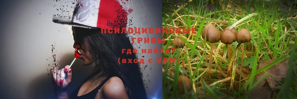 круглые Аркадак